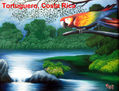TORTUGUERO