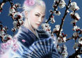 PRIMAVERA EN JAPON