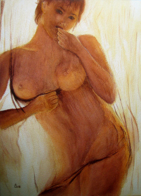 Transparencia
