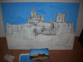 mota proceso
