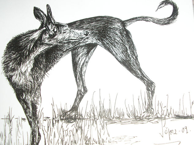GALGA- LEBRERA- Ink