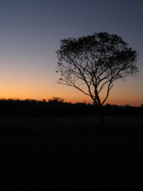 Atardecer de un día...