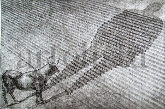 serie EL SUEÑO DE LA RAZON III