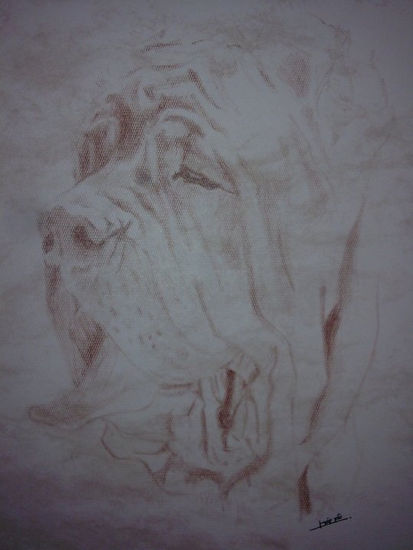 Napolitano Charcoal