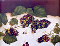 UVA CHINCHE