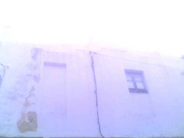 gris