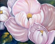 MAGNOLIAS ROSADAS