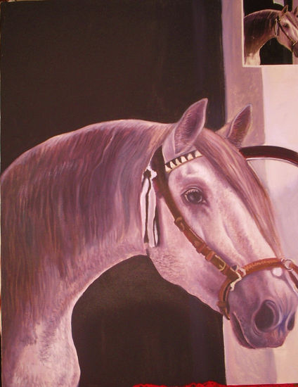 cara de caballo Oil Canvas Animals