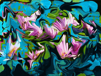 Jazz nenufar