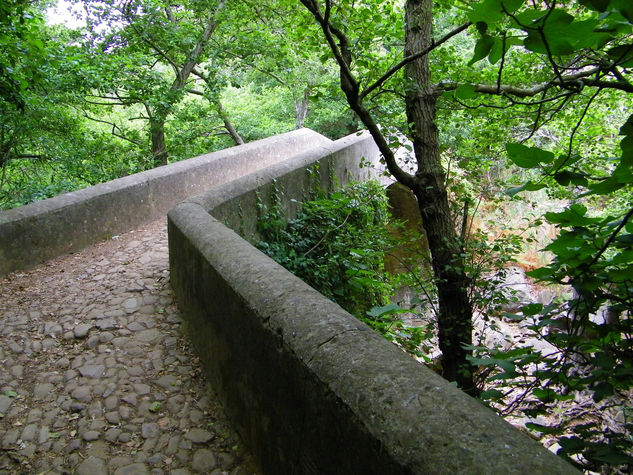 puente romano Naturaleza Color (Digital)