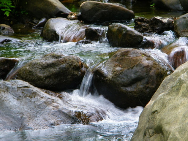 corriente de agua Naturaleza Color (Digital)