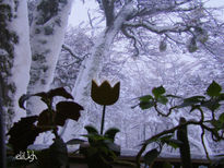 Invierno en Ushuaia