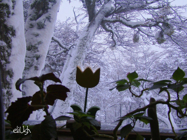 Invierno en Ushuaia