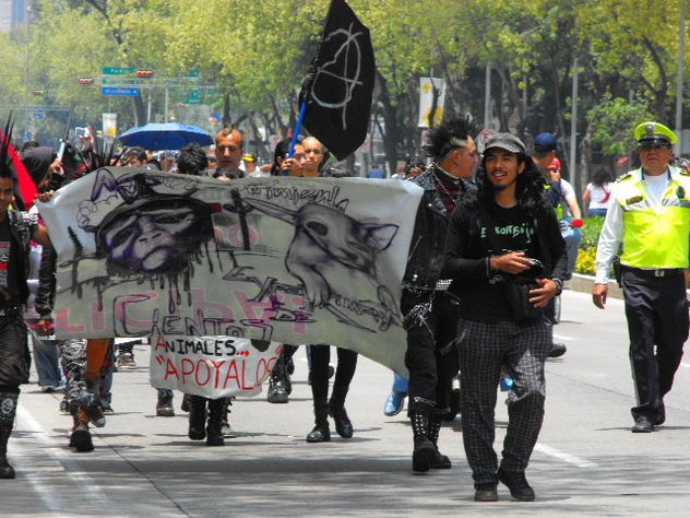 protesta contra la violencia a los animales
