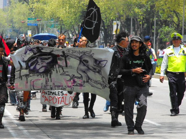 protesta contra la violencia a los animales 