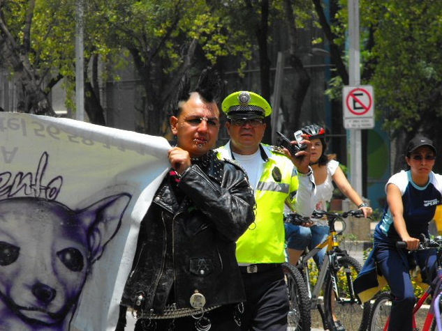 protesta contra la violencia a los animales 