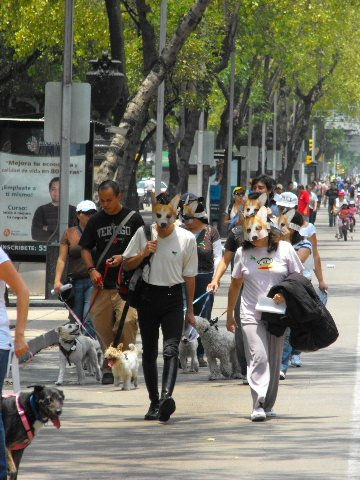 protesta contra la violencia a los animales 