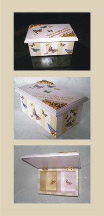 Caja con Mariposas