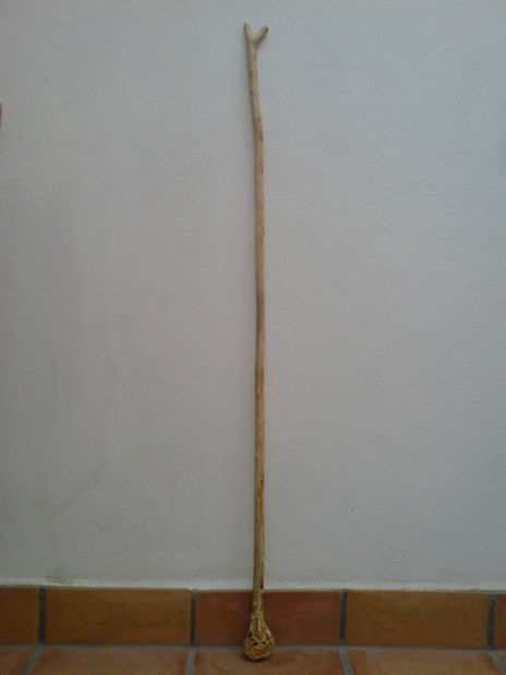 Bastón de acebuche4.