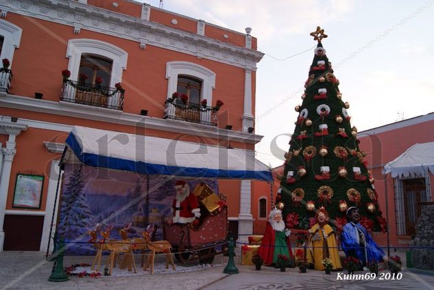 Arbol de navidad 