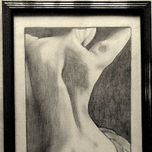 DESNUDOS thumbnail 1
