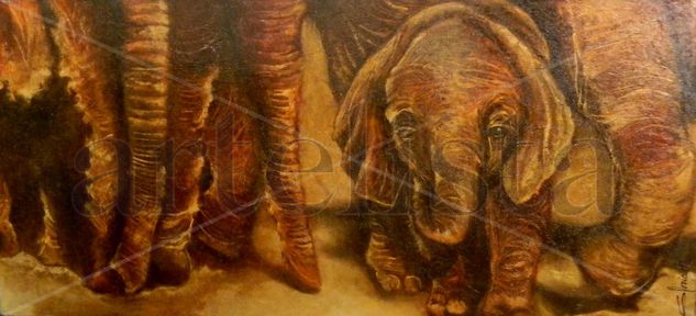 elefantes Oil Canvas Animals