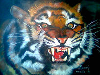 Tigre