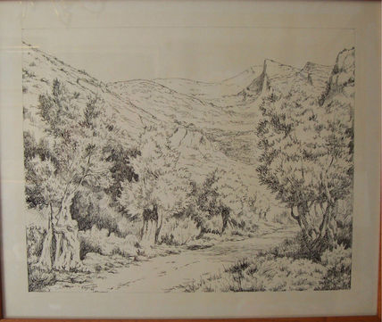 Olivos de Valldemosa