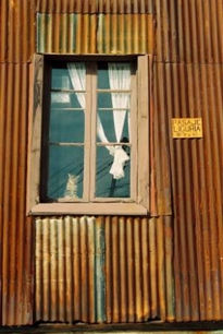 El gato en la ventana