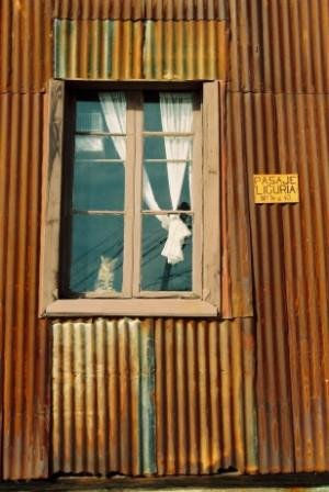 El gato en la ventana Travel Color (Manual)