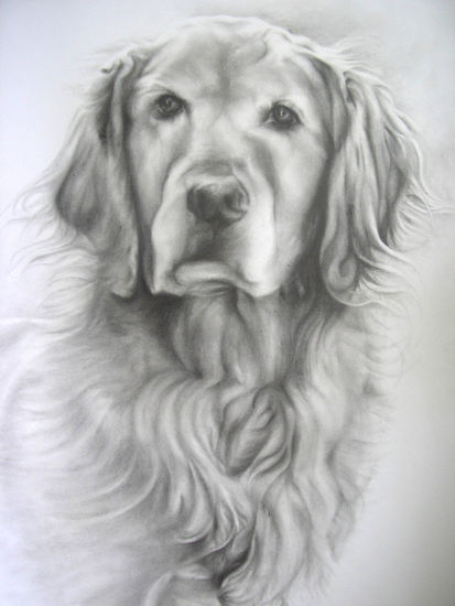 Frances Graphite