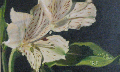 Flores