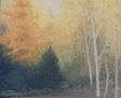arboles en otoño 2