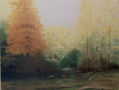 arboles en otoño 3