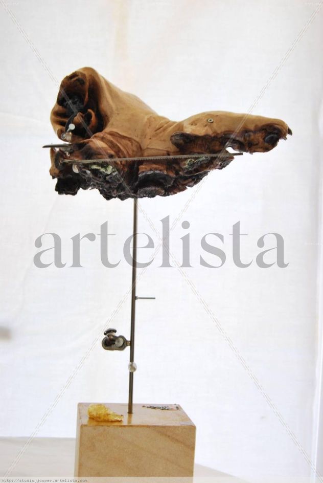 CARACOL HORMIGUERO TRANSPARENTE-