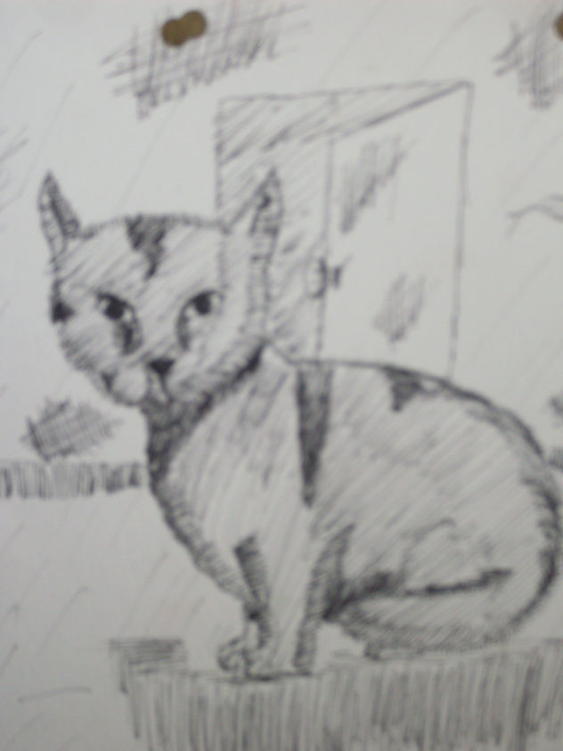 mi gato (detalle)
