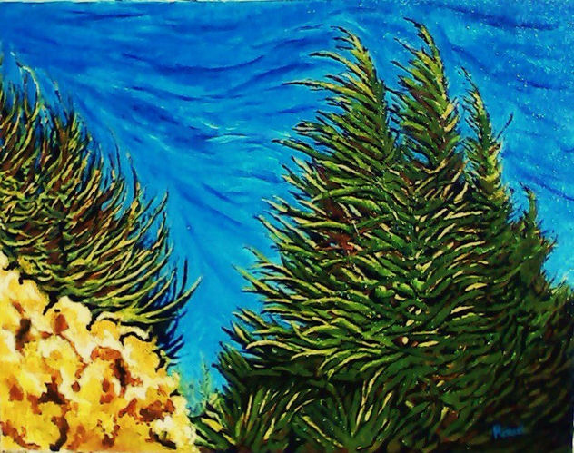 Pinos y Aromo en Primavera.