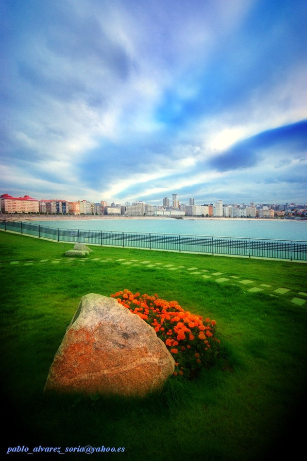 PIEDRA, FLORES Y BAHIA (en HDR)
