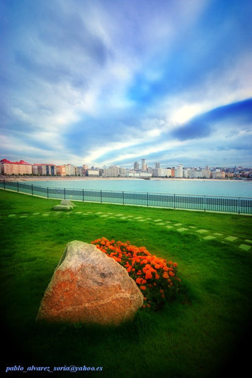 PIEDRA, FLORES Y BAHIA (en HDR) 