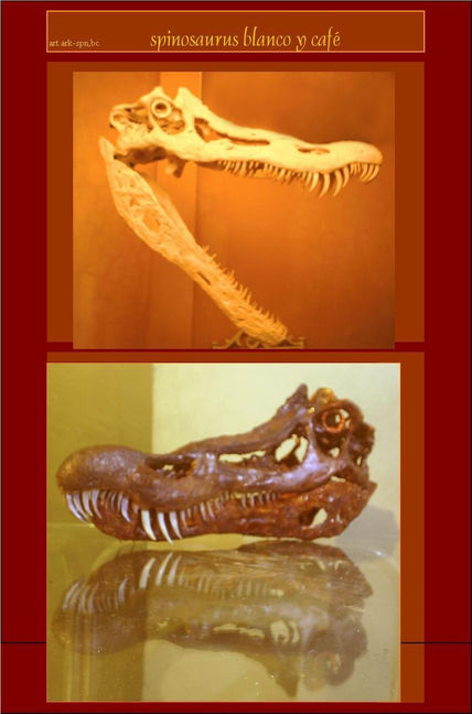 Craneo spinosaurus