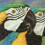 NATURALEZA thumbnail 1