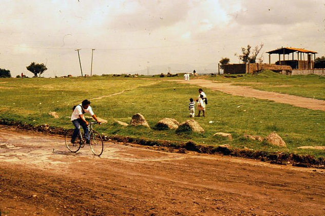 las bicicletas 