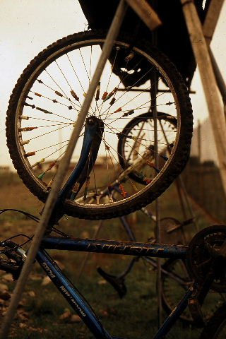 las bicicletas 