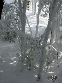 Nieve de Primavera