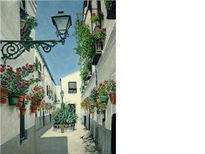 Calle tipica andaluza