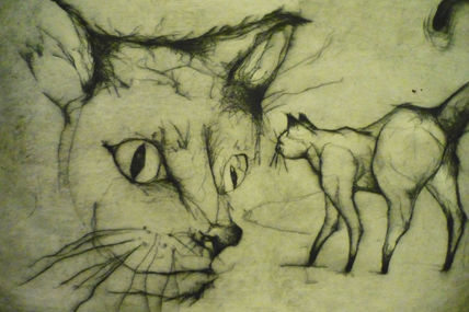 Gatos