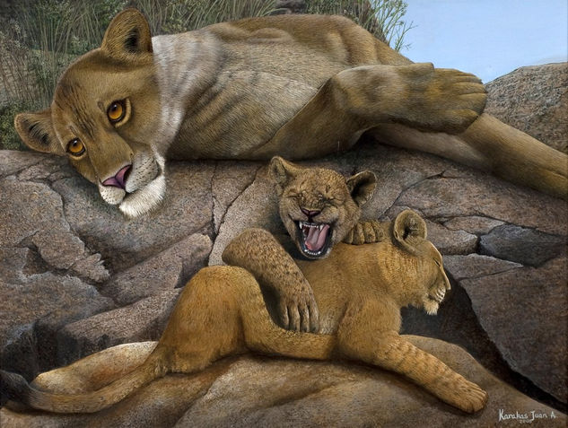 Argentinian wildlife Oil Canvas Animals