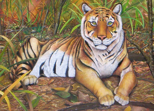 Selva Argentina - Argentinian Rainforest
