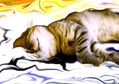 SIESTA