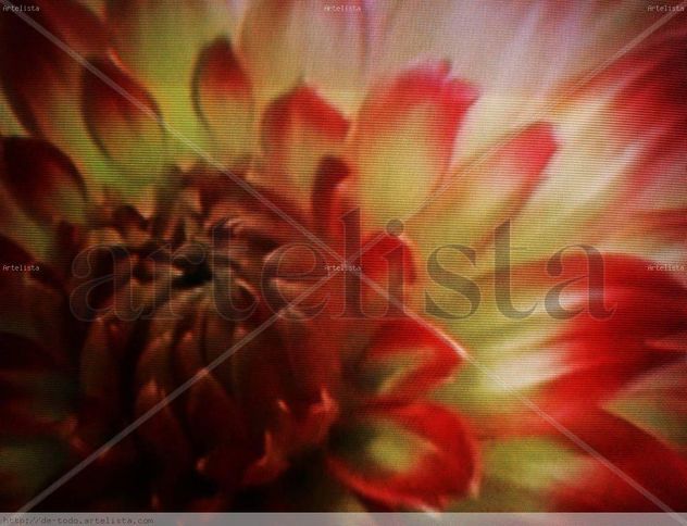 Flor